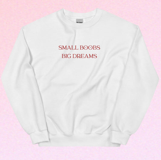 Small Boobs Big Dreams Embroidered Sweatshirt, Y2K Clothing, Meme Sweatshirt