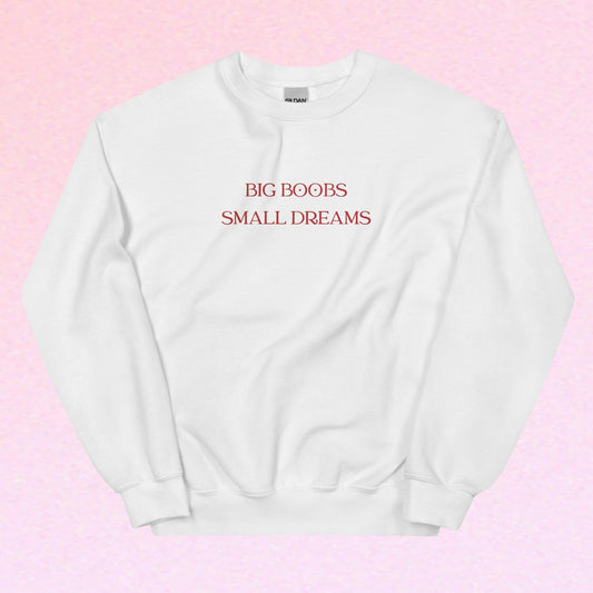 Big Boobs Small Dreams Embroidered Sweatshirt, Y2K Crewneck, Funny Meme clothing